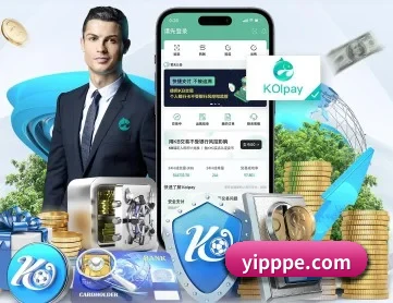 半岛在线登录入口 APP 深度功能